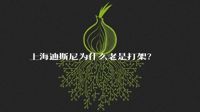 上海迪斯尼为什么老是打架？