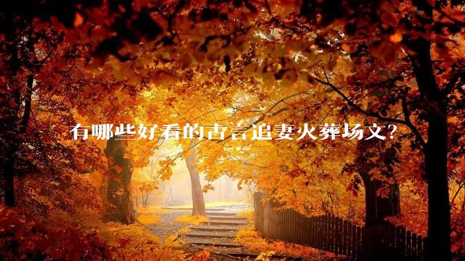 有哪些好看的古言追妻火葬场文？