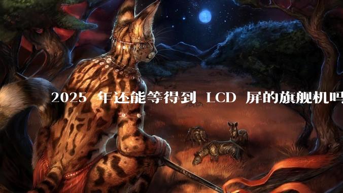 2025 年还能等得到 LCD 屏的旗舰机吗？