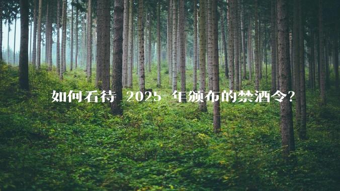 如何看待 2025 年颁布的禁酒令？