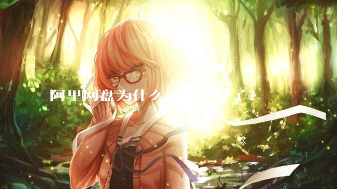 阿里网盘为什么没有动静了？