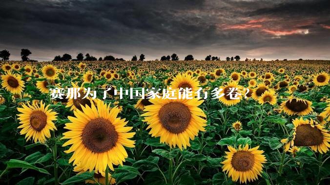 赛那为了中国家庭能有多卷？