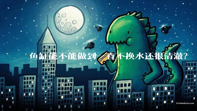 鱼缸能不能做到一直不换水还很清澈？