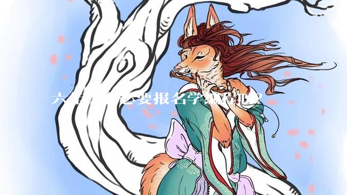 六年级有必要报名学编程吗？