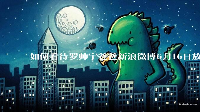 如何看待罗帅宇爸爸新浪微博6月16日放出的录音材料？