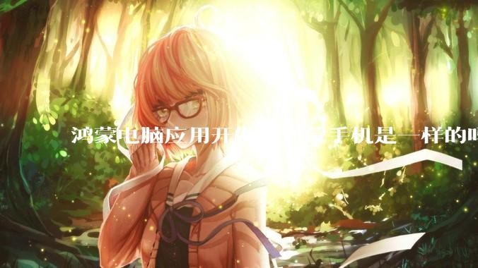 鸿蒙电脑应用开发和鸿蒙手机是一样的吗？