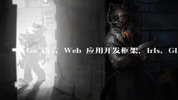 Go 语言 Web 应用开发框架，Iris、Gin、Echo，哪一个更适合大型项目？