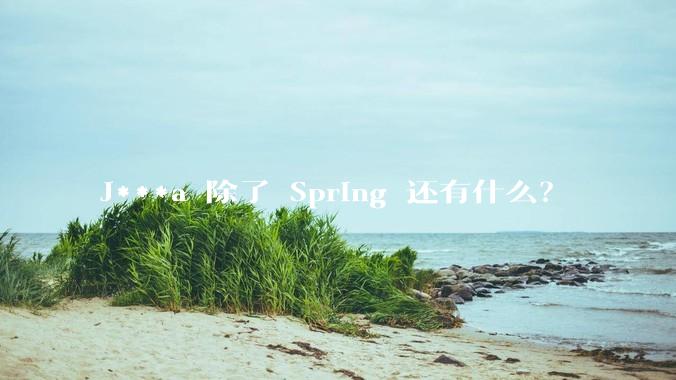 J***a 除了 Spring 还有什么？
