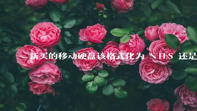 新买的移动硬盘该格式化为 NTFS 还是 exFAT？
