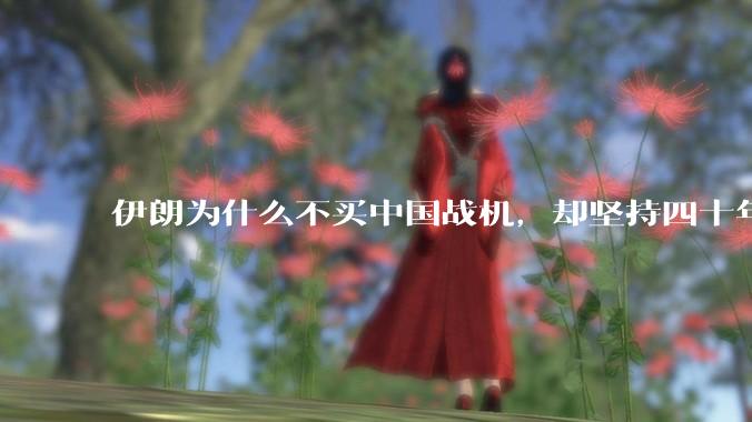 伊朗为什么不买中国战机，却坚持四十年用老旧的苏联米格29、美国F14雄猫战斗机?