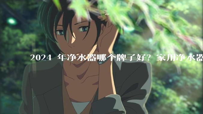 2024 年净水器哪个牌子好？家用净水器的选购攻略是什么？